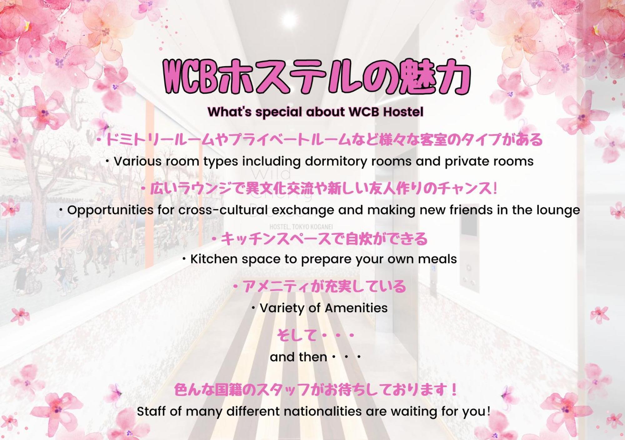 Wild Cherry Blossom-Hostel,Tokyo Koganei- Kültér fotó